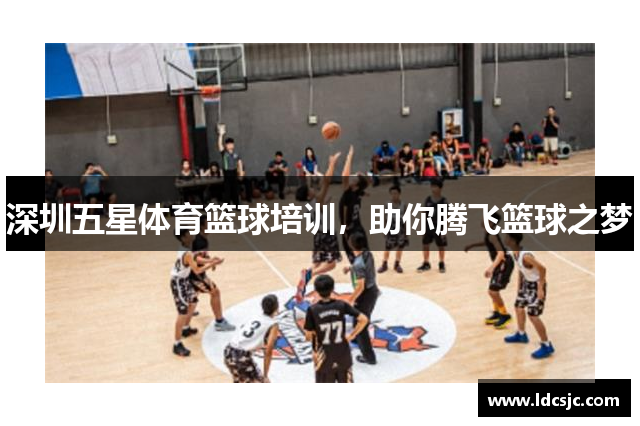 深圳五星体育篮球培训，助你腾飞篮球之梦